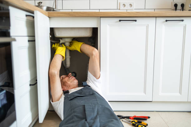Best Plumbing Services Near Me  in Ixonia, WI